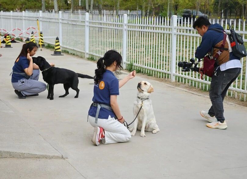 本期报道带您走进