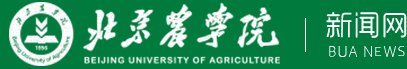 新闻网 12月20日至21日